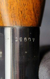 Winchester Model 71 - 15 of 15