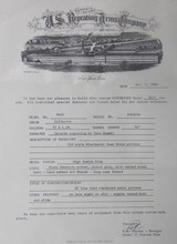 Winchester 9422 Special Order Carbine, One of Two Made - 4 of 15