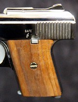 Raven Arms MP25 Pistol - 3 of 12