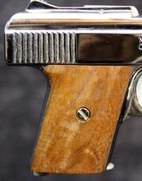 Raven Arms MP25 Pistol - 5 of 12