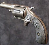 Belgian Copy of Colt New Line - 9 of 14