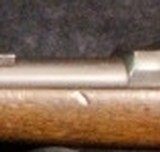 Springfield Model 1884 Trapdoor Rifle - 14 of 15