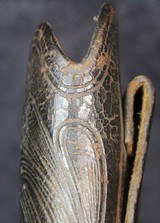 California Style Slim Jim Holster - 10 of 14