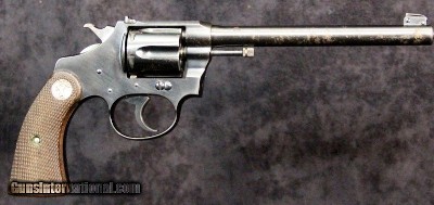 Colt Police Positive Target