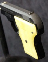 S&W Model 61 - 13 of 15