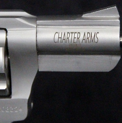 Charter Arms Pit Bull - Image 3 of 15