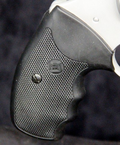Charter Arms Pit Bull - Image 5 of 15