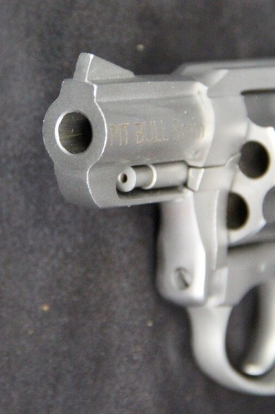 Charter Arms Pit Bull - Image 11 of 15