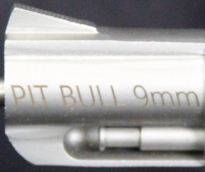 Charter Arms Pit Bull - Image 10 of 15