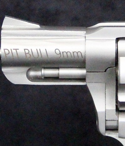Charter Arms Pit Bull - Image 9 of 15