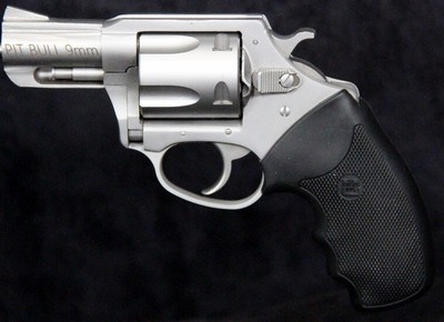 Charter Arms Pit Bull - Image 2 of 15