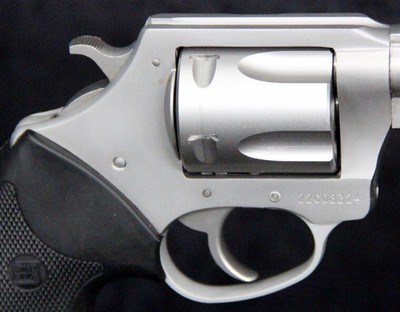 Charter Arms Pit Bull - Image 4 of 15