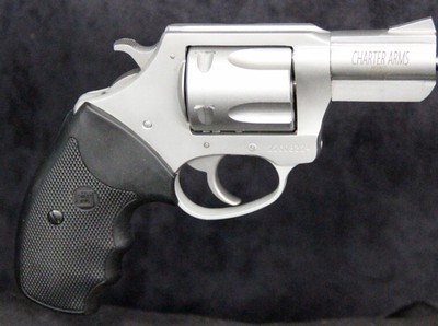 Charter Arms Pit Bull - Image 1 of 15