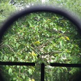 Shmidt & Bender8x56 - 9 of 15