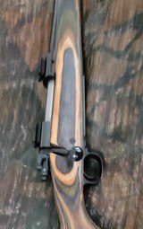 Winchester model 70 Lightweight .270win - 8 of 15