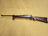 Ruger 10/22