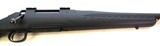 Ruger American 20