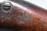 Springfield, Trapdoor, Model 1884, caliber .45-70 - 15 of 15