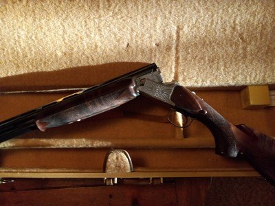 Winchester Model 501 12 ga