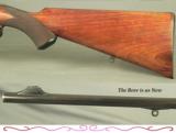 WESTLEY RICHARDS 318 EXPRESS- MAUSER ACTION- FROM STORAGE in a INDIAN TEMPLE- APPEARS UNFIRED- MADE ABOUT 1923 - 4 of 4