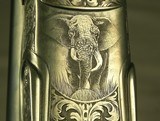 SANDRO LUCCHINI 500 3