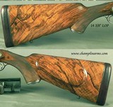 SANDRO LUCCHINI 500 3