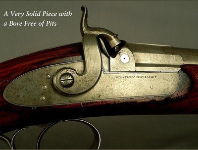 WESTLEY RICHARDS 4 BORE PERCUSSION SHOULDER WATERFOWLER PUNT GUN - 14 Lbs. 10 Oz. - 42
