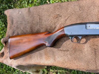 Remington model 31 SKEET 12 ga. All Original - Image 6 of 12