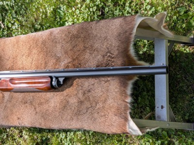Remington model 31 SKEET 12 ga. All Original - Image 8 of 12