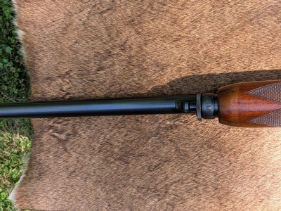 Remington model 31 SKEET 12 ga. All Original - Image 12 of 12