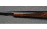 Winchester Model 70 Super Express - .375 H&H Magnum - 8 of 9