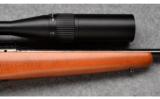 Winchester ~ 70 ~ .223 Rem. - 7 of 9
