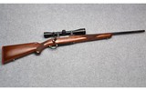 Ruger ~ M77 ~ .243 Win. - 1 of 9