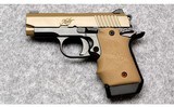 Kimber ~ Micro 9 ~ 9mm - 2 of 4