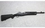 Ruger ~ Mini-14 ~ .300 AAC Blackout - 1 of 8