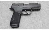 Sig Sauer ~ P365 ~ 9mm - 1 of 4