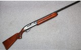 Remington ~ 1100 ~ .20 Gauge