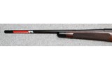 Winchester ~ Model 70 Western Big Game Series, White Tail ~ .308 Win. - 10 of 12