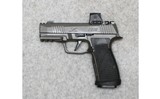 Sig Sauer ~ P365X AXG Legion ~ 9MM - 2 of 2