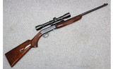 Browning ~ SA-22 ~ .22 LR - 1 of 12
