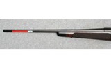 Winchester ~ Model 70 Western Big Game Series, White Tail ~ .308 Win. - 10 of 12