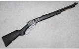 Henry ~ H009X ~ .30-30 Winchester