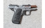 Kimber ~ Micro 9 ESV ~ 9mm Luger - 3 of 3