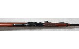Henry ~ Varmint Express ~ .17 HMR - 9 of 11