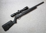 Ruger ~ 10/22 ~ .22 LR
