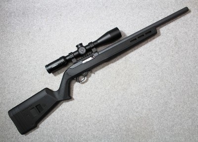 Ruger ~ 10/22 ~ .22 LR