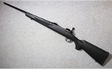 Savage ~ 10 ~ .243 Winchester - 2 of 11