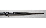 Savage ~ 10 ~ .243 Winchester - 10 of 11