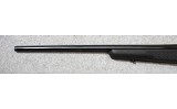 Savage ~ 10 ~ .243 Winchester - 8 of 11