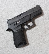 Sig Sauer ~ P250 ~ .40 S&W - 1 of 2